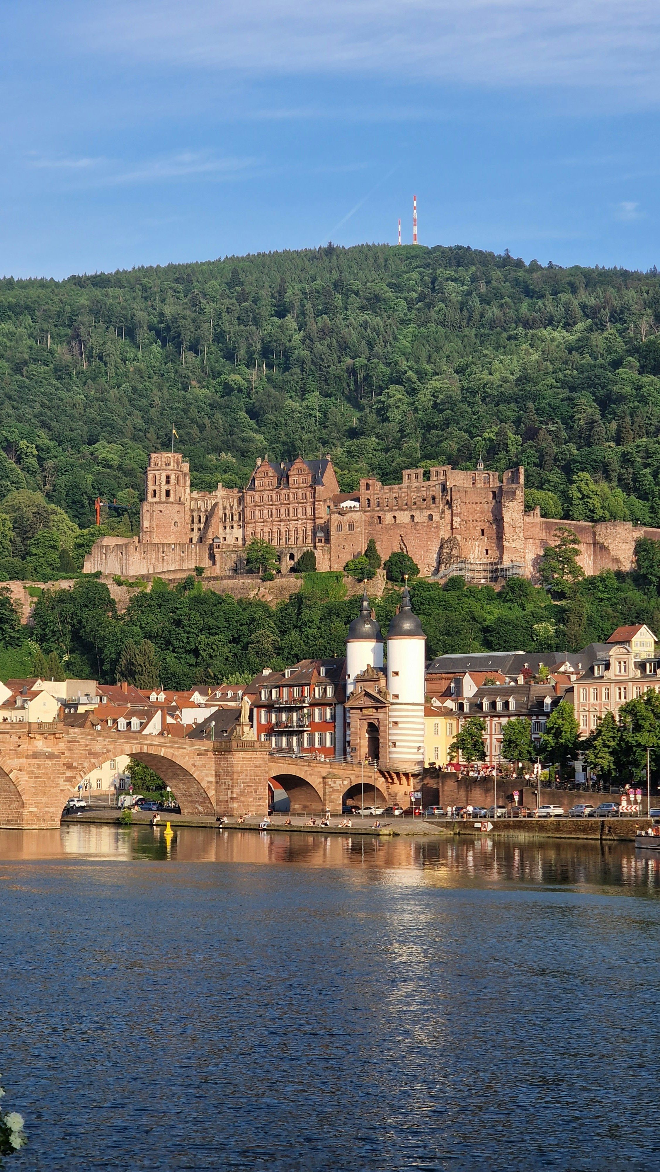 Die Alte Brücke mit dem weißen Brückentor, darüber das Heidelberger Schloss vor dem bewaldeten Königstuhl